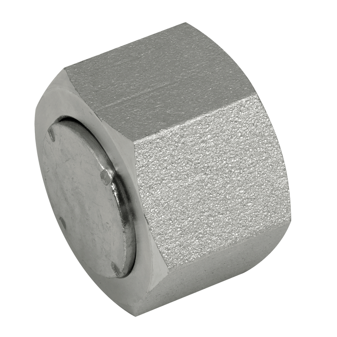 HAK Hydraulic ORFS Cap